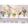 Miniverse - Make It Mini Botanicals, 8 Jahr(e), Mehrfarbig, Kunststoff