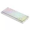 Gaming-Tastatur Savio Phenix WHITE GAT Gelb USB Bluetooth QWERTY