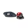 Kensington Slim Duo Gel Mouse/Trackball Wrist Rest - Rot, Rot, Gel, Thermoplastisches Polyurethan (TPU), China, MIL-STD-810H Methode 504.3 Kontamination durch Flüssigkeiten, 192 mm, 72 mm