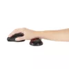 Kensington Slim Duo Gel Mouse/Trackball Wrist Rest - Rot, Rot, Gel, Thermoplastisches Polyurethan (TPU), China, MIL-STD-810H Methode 504.3 Kontamination durch Flüssigkeiten, 192 mm, 72 mm