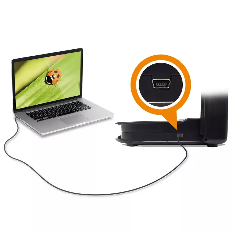 Dokumentenkamera AVer U50+ Schwarz 25.4 / 3.2 mm CMOS USB 2.0
