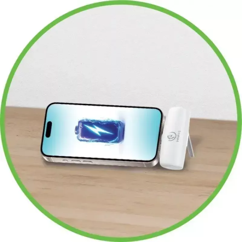 Tragbare Powerbank P5 PLUG-IN 5000mAh