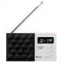 Digitalradio Adler AD 1908 PLL AM/FM mit Alarmfunktion