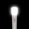 Handleuchte Hama FL250 LED 3W Aluminium Silber