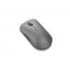 Lenovo Pro Plus 6050 Maus Office Beidhändig RF Wireless + Bluetooth Optisch 2400 DPI
