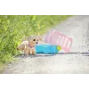 Puppenhaustier ZAPF BABY born My Dog Lucky mit Box — Textil/Kunststoff, mehrfarbig, für 3–12 Jahre, benötigt 4×AAA