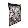 Projektionsleinwand Elite Screens M99NWS1