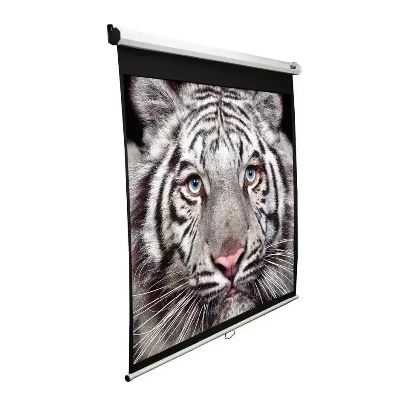 Projektionsleinwand Elite Screens M99NWS1