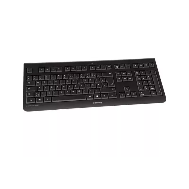 CHERRY DW 3000 Tastatur Maus enthalten Universell RF Wireless AZERTY Französisch Schwarz