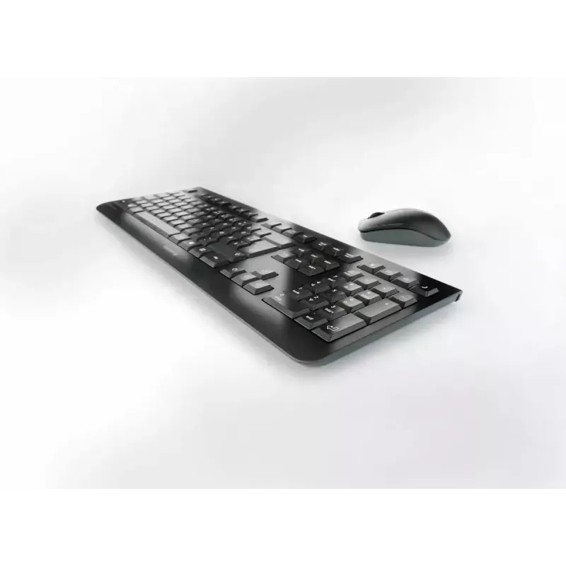 Tastatur CHERRY DW 3000