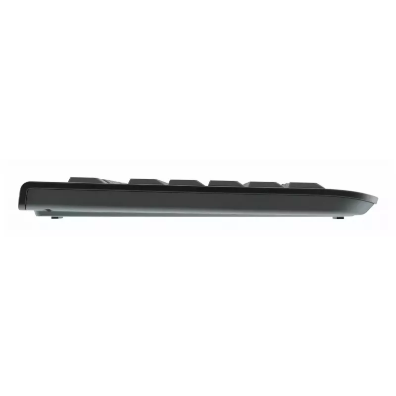 Tastatur CHERRY DW 3000