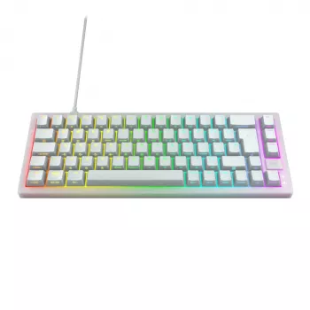 CHERRY K5V2 Kompakttastatur Gaming USB QWERTZ Deutsch Weiß 68 Tasten RGB LED
