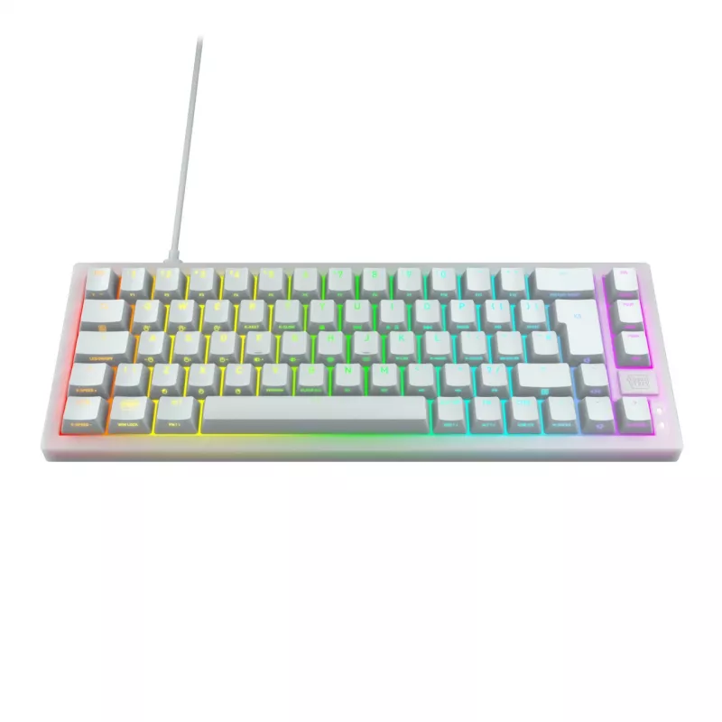 CHERRY K5V2 Kompakttastatur Gaming USB QWERTZ Deutsch Weiß 68 Tasten RGB LED