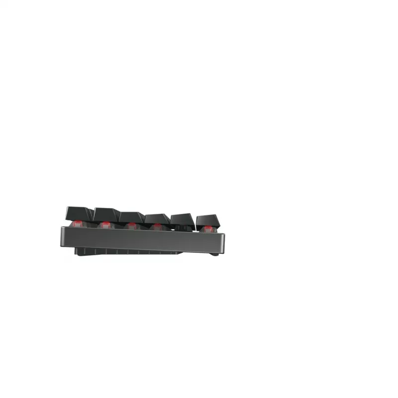 CHERRY MX 8.2 TKL Wireless RGB Tastatur Gaming RF Wireless + Bluetooth QWERTZ Deutsch Schwarz