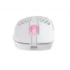 Maus Xtrfy M4 RGB RF Wireless Optical 19000 DPI