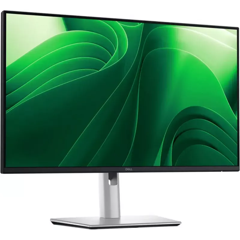 DELL Pro Plus P2425D Computer-Monitor 61 cm (24 Zoll) 2560 x 1440 Pixel Quad HD LCD Schwarz, Silber