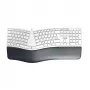 CHERRY KC 4500 ERGO Tastatur Universal USB QWERTZ Deutsch Weiß