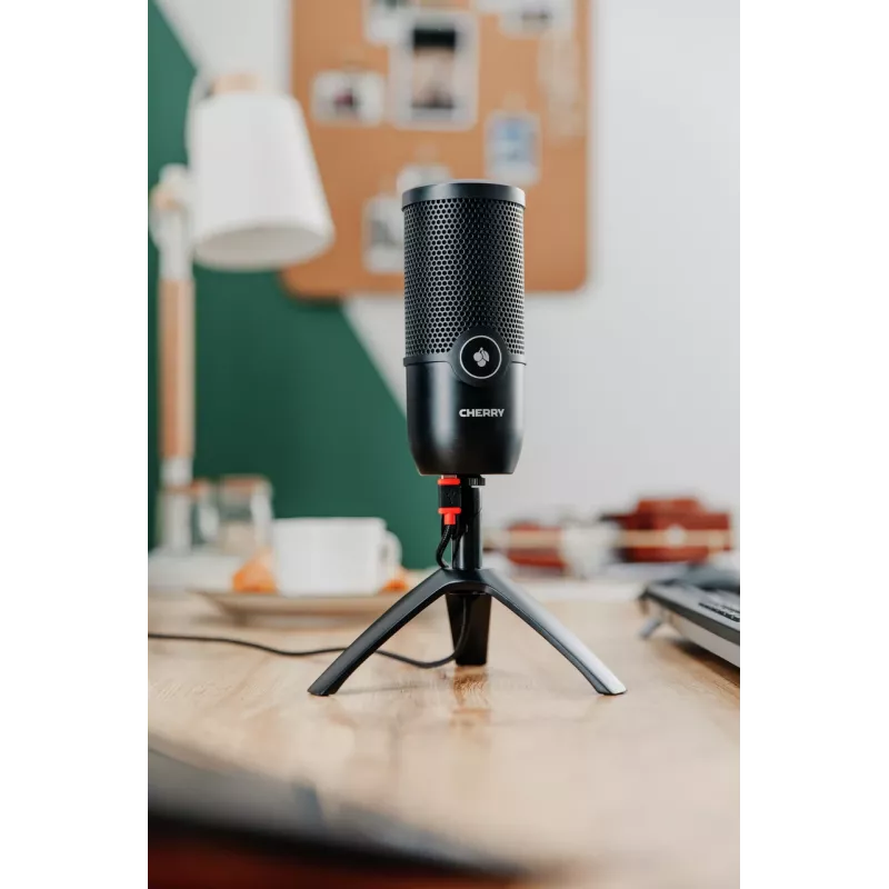 CHERRY UM 3.0 Schwarz Table microphone