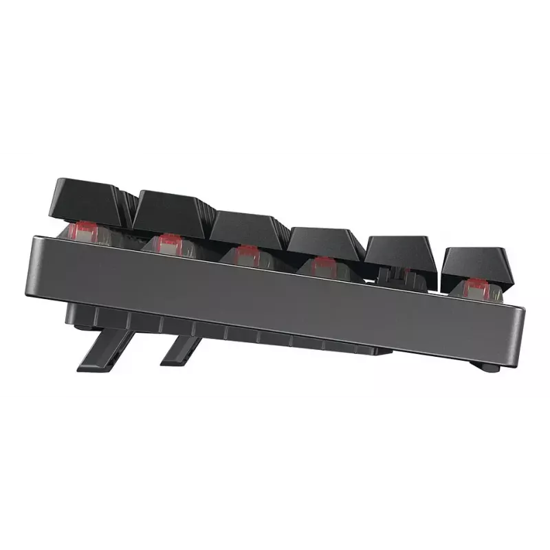 CHERRY MX 8.2 TKL Wireless RGB Tastatur Gaming USB + RF Wireless + Bluetooth QWERTZ Deutsch Schwarz