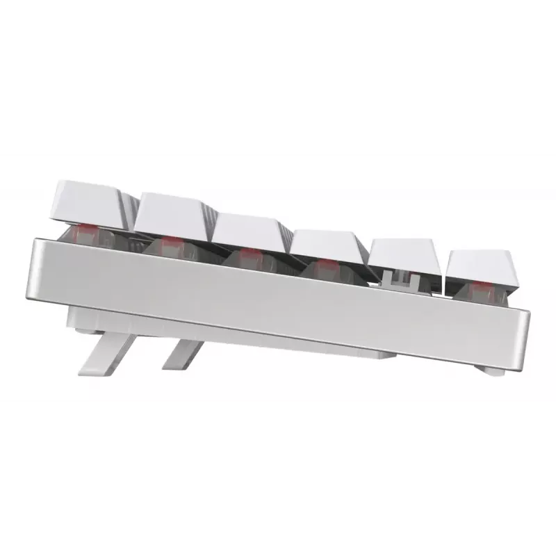 CHERRY MX 8.2 TKL Wireless RGB Tastatur Gaming USB + RF Wireless + Bluetooth QWERTZ Deutsch Weiß