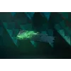 Gaming-Tastatur Razer RZ03-03931000-R3G1