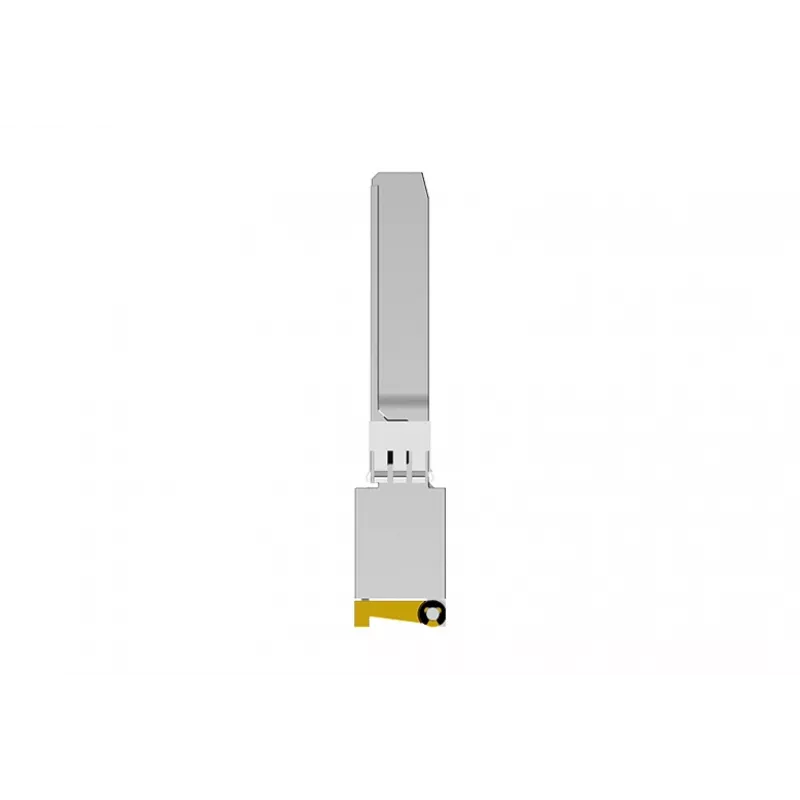NETGEAR AXM765-20000S Netzwerk-Transceiver-Modul Glasfaser 10000 Mbit/s SFP+