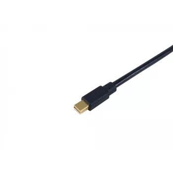 Equip Mini DisplayPort-auf-DisplayPort-Kabel, M/M, 2,0 m