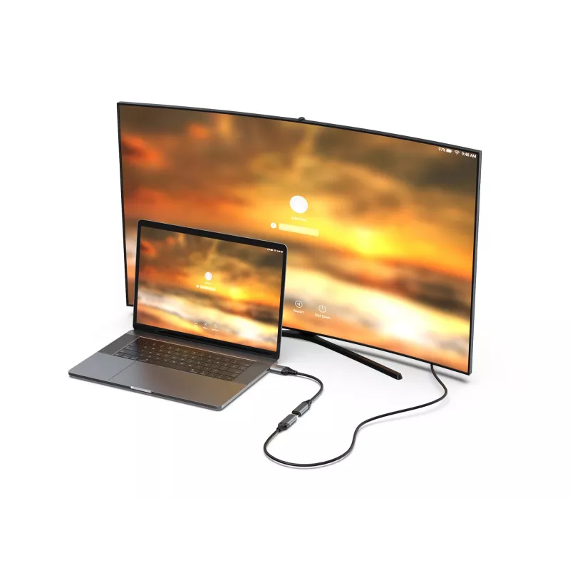 Equip DisplayPort 1.4 auf HDMI Adapter 8K 60Hz 0,15m