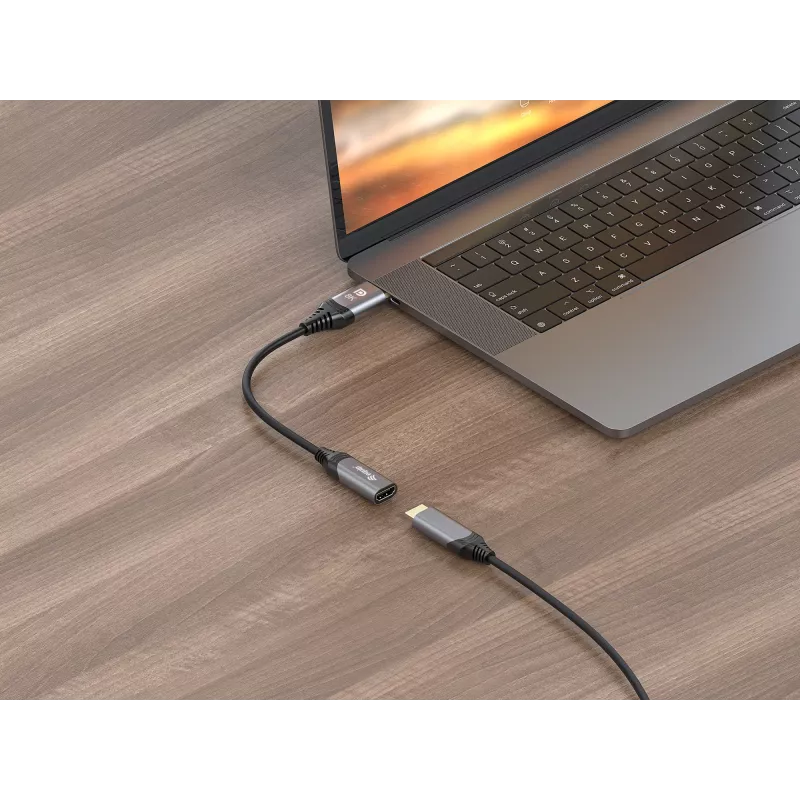 Equip DisplayPort 1.4 auf HDMI Adapter 8K 60Hz 0,15m