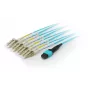 Equip MTP/MTP Trunk Glasfaser-Patchkabel, OM4, 3m