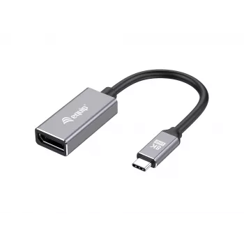 Equip USB-C zu DisplayPort 1.4 Adapter 8K 30Hz 0.15m
