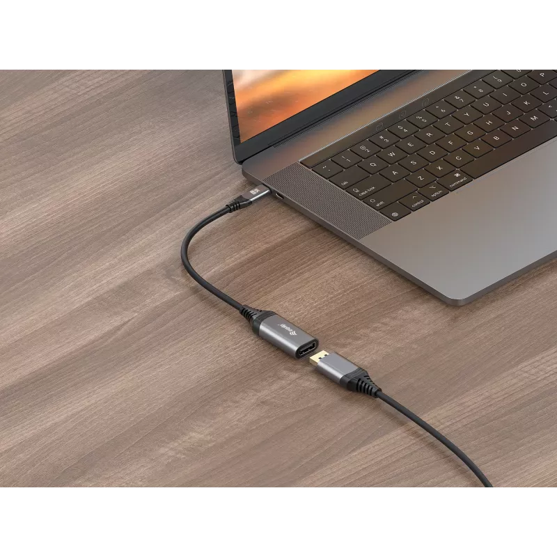 Equip USB-C zu DisplayPort 1.4 Adapter 8K 30Hz 0.15m
