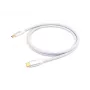 Equip USB 3.2 Gen 2 C zu C Kabel, M/M, 2,0 m, 5 A, PD 100 W, 4K/60 Hz, 10 Gbit/s