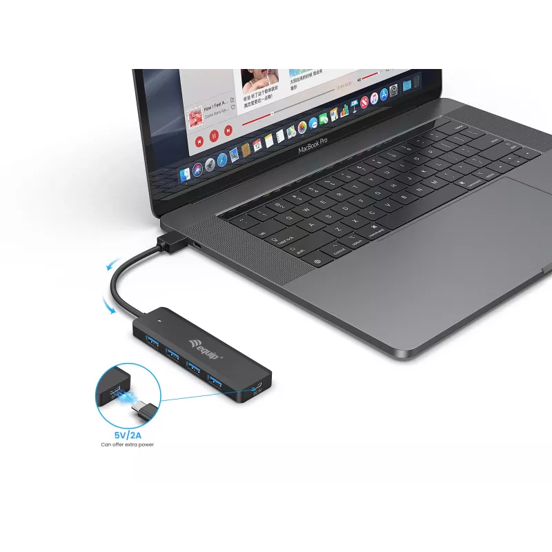 4-Port USB 3.2 Gen 1 Hub Equip mit USB-C Adapter Schwarz 5000 Mbit/s