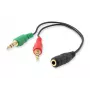 Equip Audio Split Cable, Schwarz, 3,5 mm, 2 x 3,5 mm, Buchse, Stecker, Polyvinylchlorid (PVC)