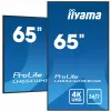 iiyama LH6541UHS-B1AG Signage Display 163,8 cm (64,5 Zoll) LCD 500 cd/m² 4K Ultra HD Schwarz 24/7