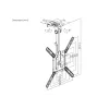 Equip 23 Zoll-55 Zoll Deckenhalterung TV Halterung, 75 x 75 mm, 400 x 400 mm, 0 - 80°, -45 - 45°, Edelstahl, Schwarz