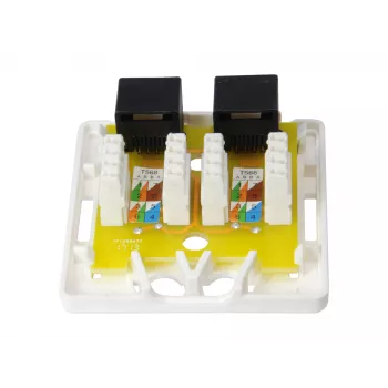 Aufputzdose Equip 2-Port Cat.6 235214