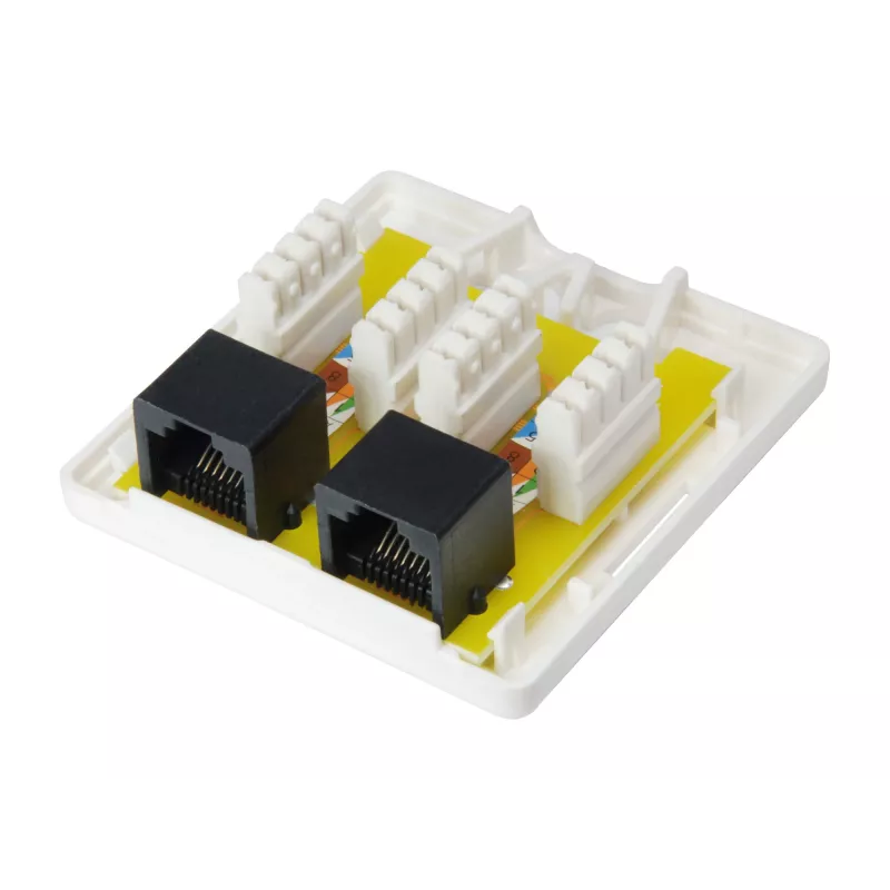 Aufputzdose Equip 2-Port Cat.6 235214