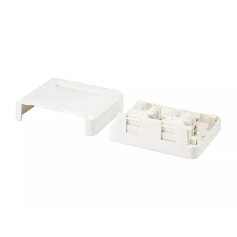 2-Port Keystone Jack Aufputzdose Equip 125124