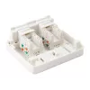 2-Port Keystone Jack Aufputzdose Equip 125124
