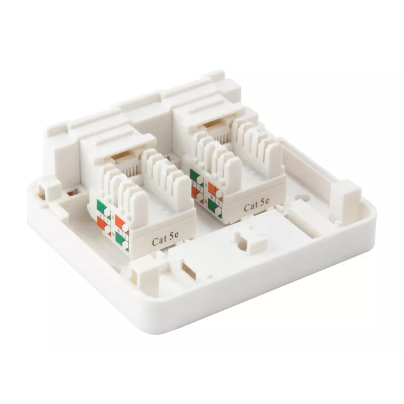 2-Port Keystone Jack Aufputzdose Equip 125124