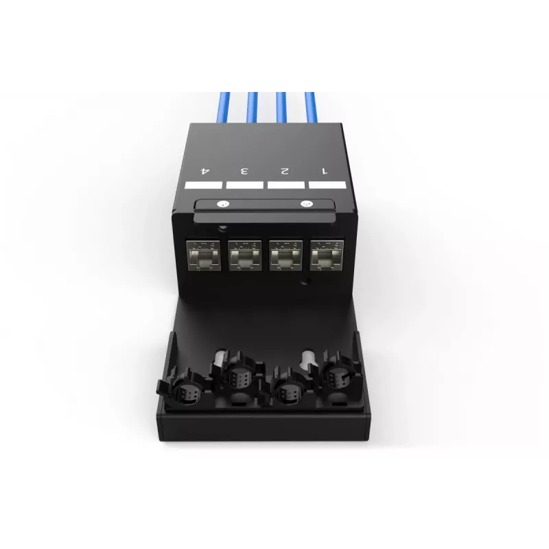 DIGITUS Consolidation Point Box - 4 Ports Keystone-Module mit intelligentem Kabelmanager