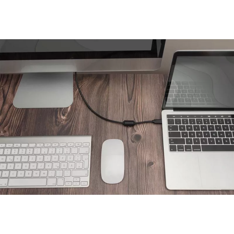 DIGITUS USB Type-C-Adapterkabel, Type-C auf DP M/M, 2 m 4K/60 Hz, 32,4 Gbit/s, CE, schwarz