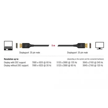 DisplayPort-Kabel DeLOCK 85660 2 m Schwarz