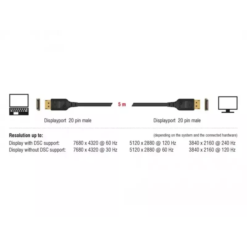 DisplayPort-Kabel DeLOCK 85660 2 m Schwarz
