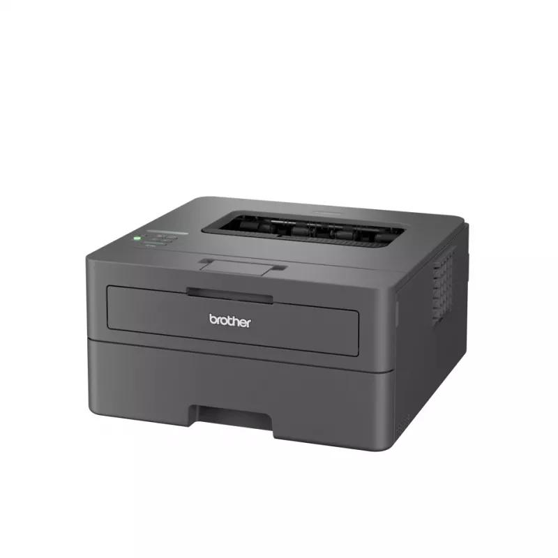 Brother HL-L2400DWE Laserdrucker 1200 x 1200 DPI A4 Wi-Fi