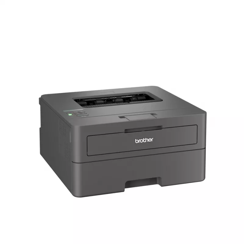 Brother HL-L2400DWE Laserdrucker 1200 x 1200 DPI A4 Wi-Fi