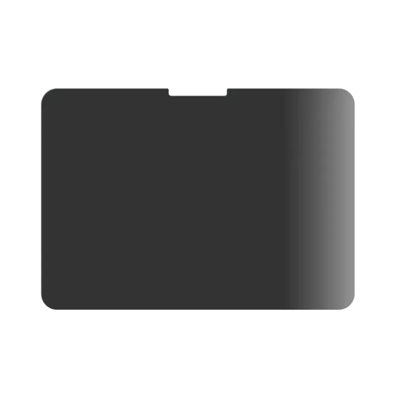 PanzerGlass ® Privacy Blickschutzfolie ® iPad Pro 11'' (2024-2025) | Ultra-Wide Fit