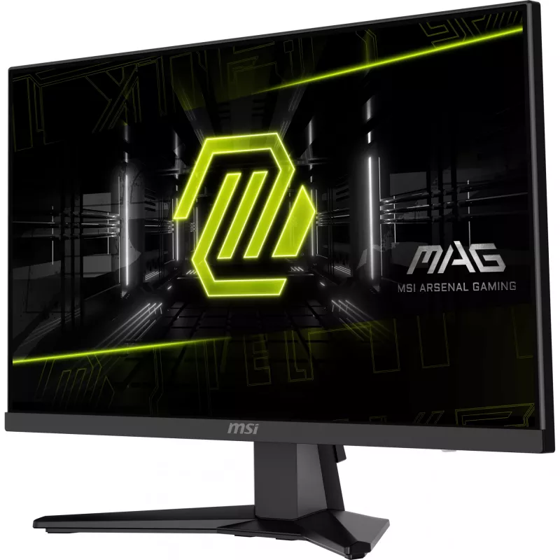 MSI MAG 244F Computer-Monitor 59,9 cm (23,6 Zoll) 1920 x 1080 Pixel Full HD LCD Schwarz